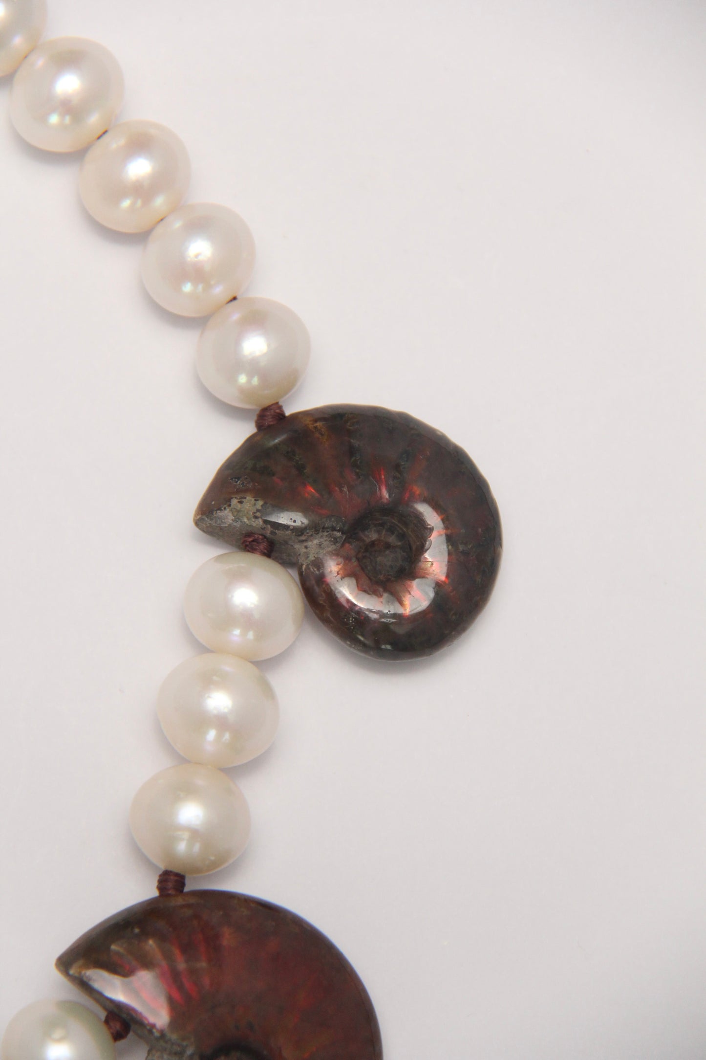 Necklace: Ammonite, pearls