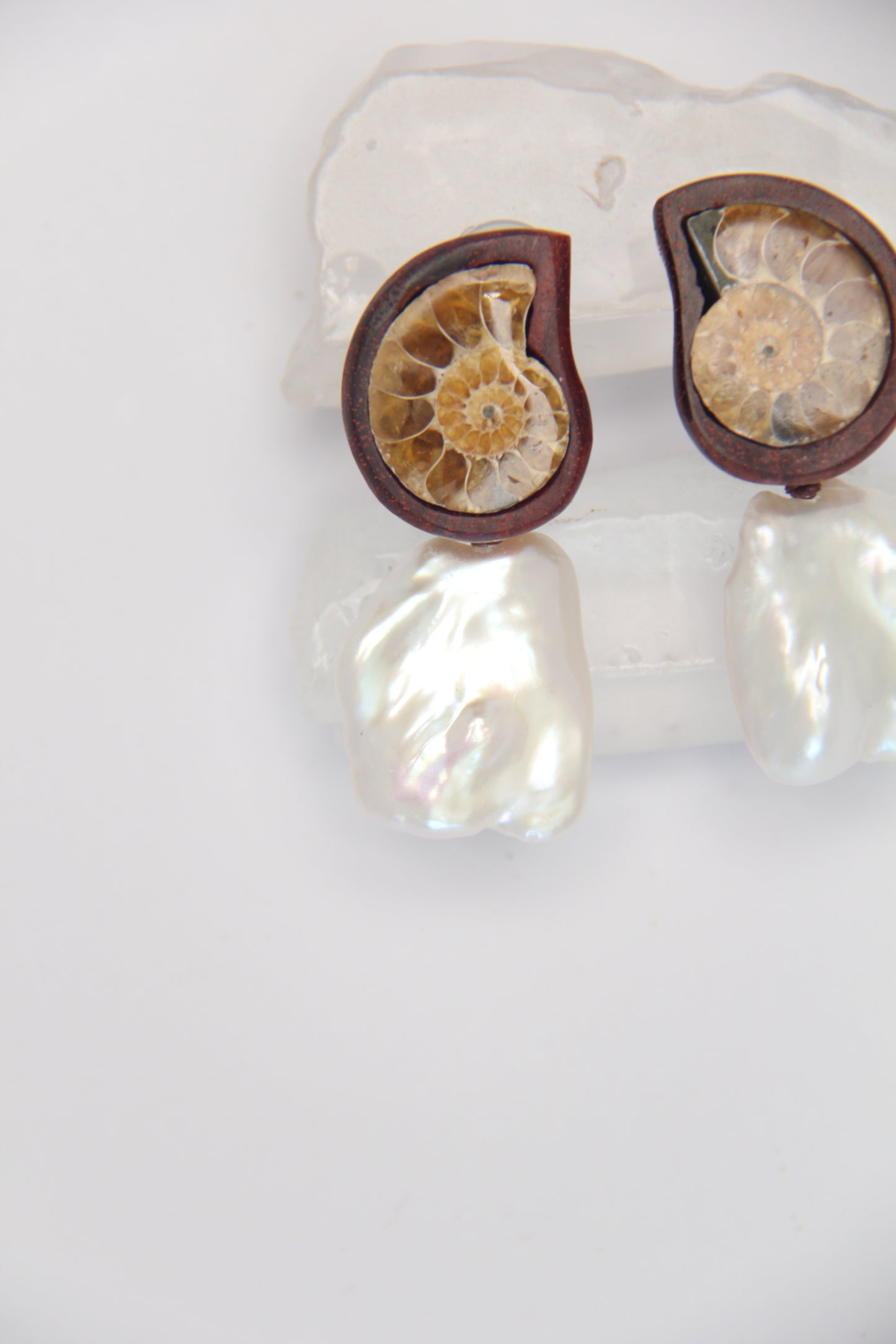 Earrings: ammonite, Zambia blood wood, pearls