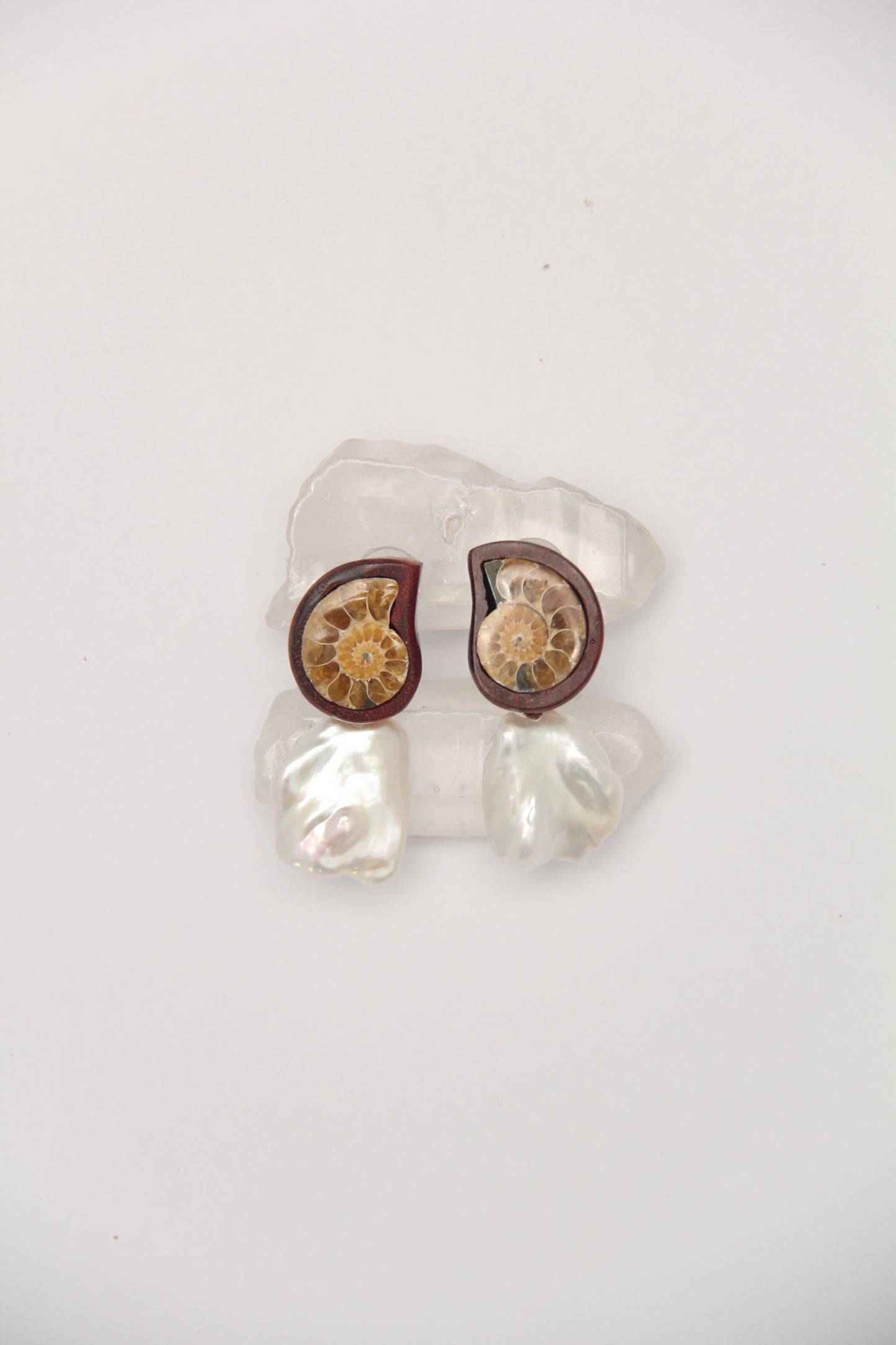 Earrings: ammonite, Zambia blood wood, pearls