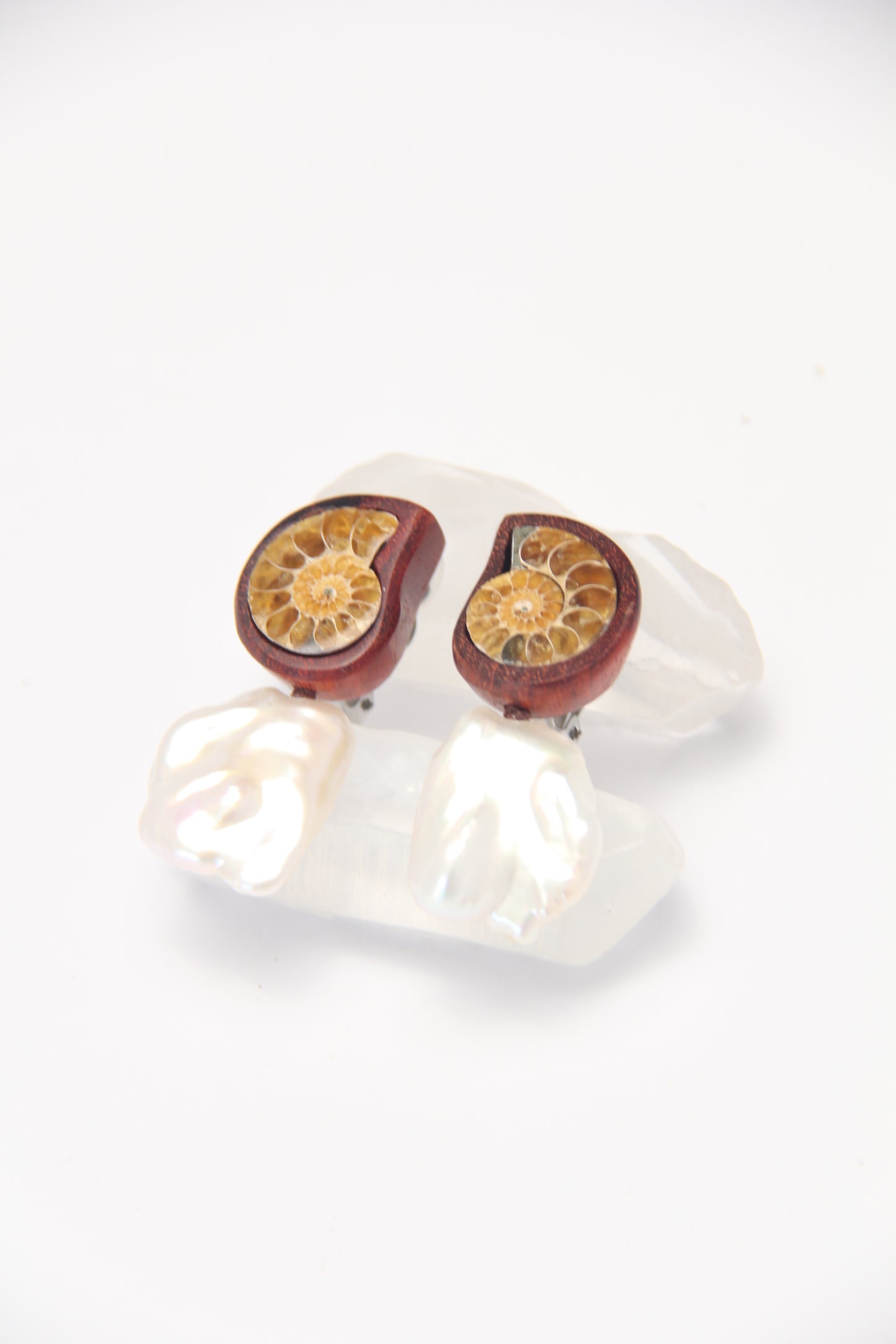Earrings: ammonite, Zambia blood wood, pearls