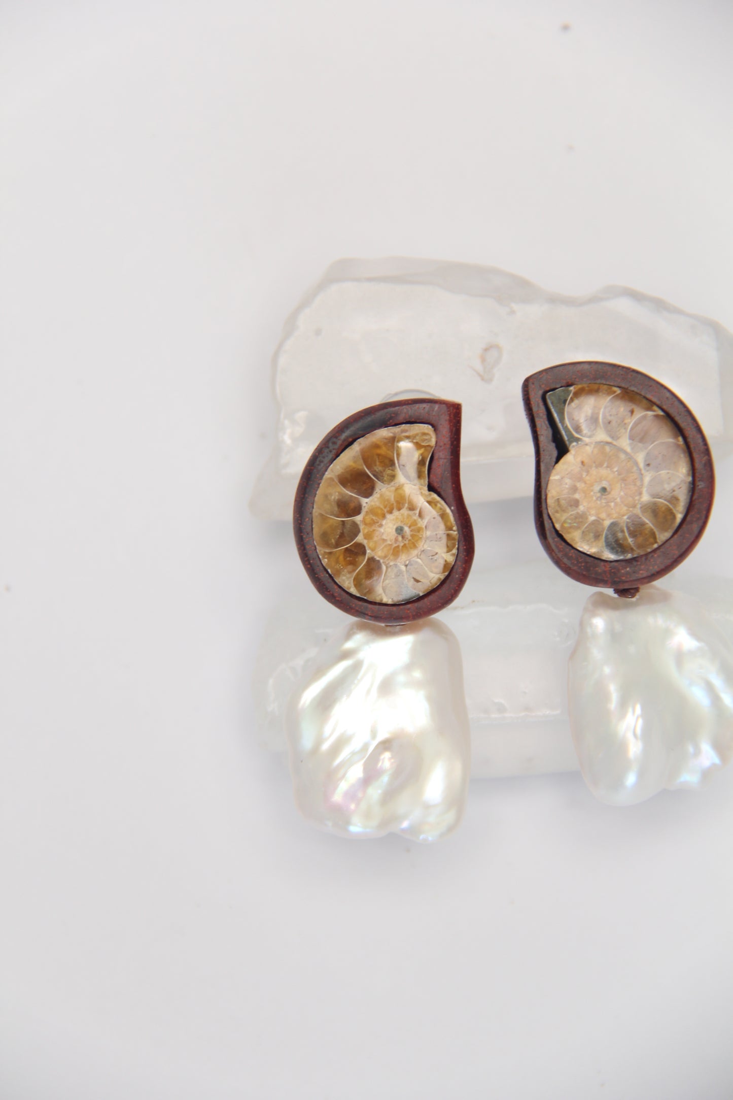 Earrings: ammonite, Zambia blood wood, pearls
