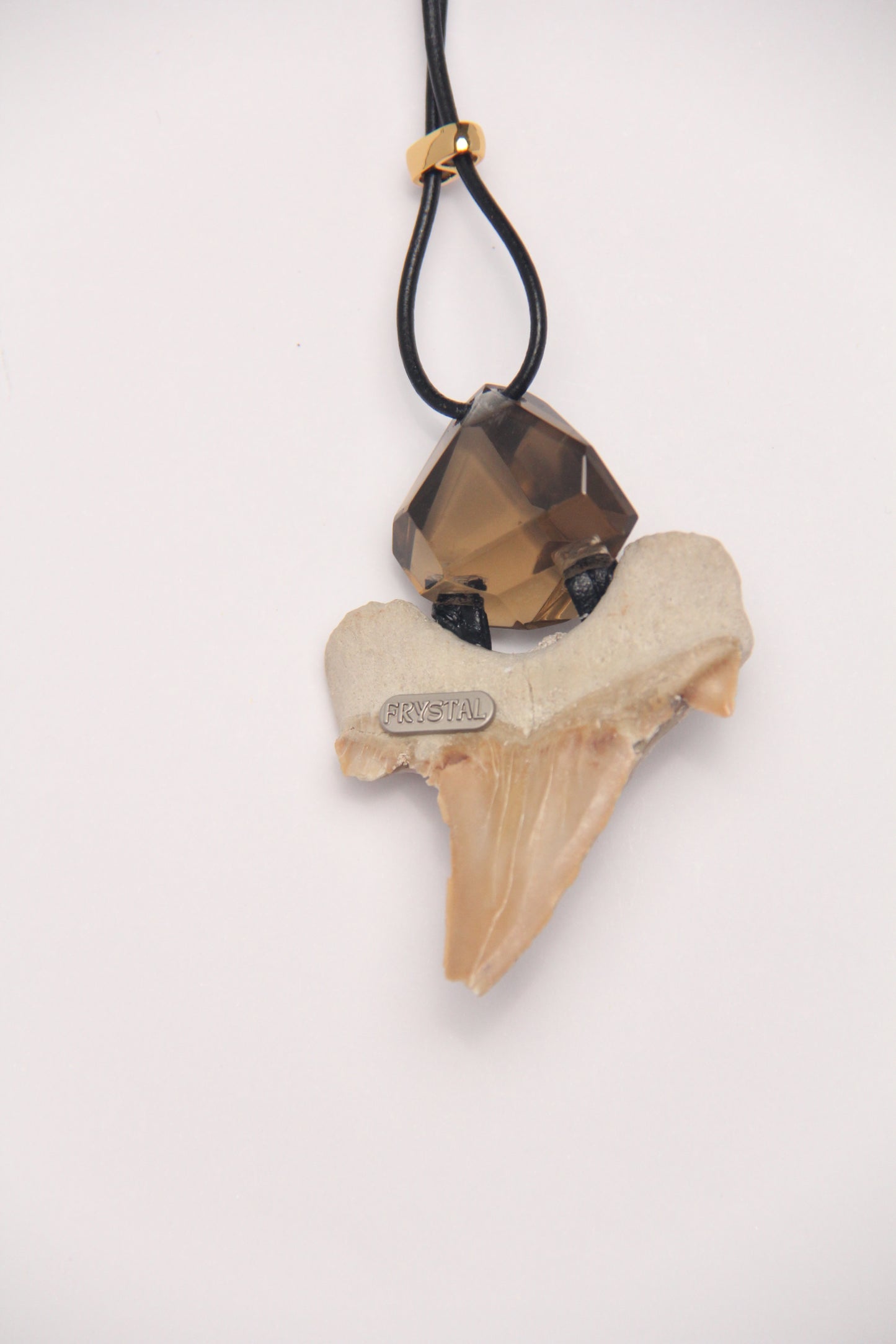 Pendant: shark tooth fossil, citrine, leather