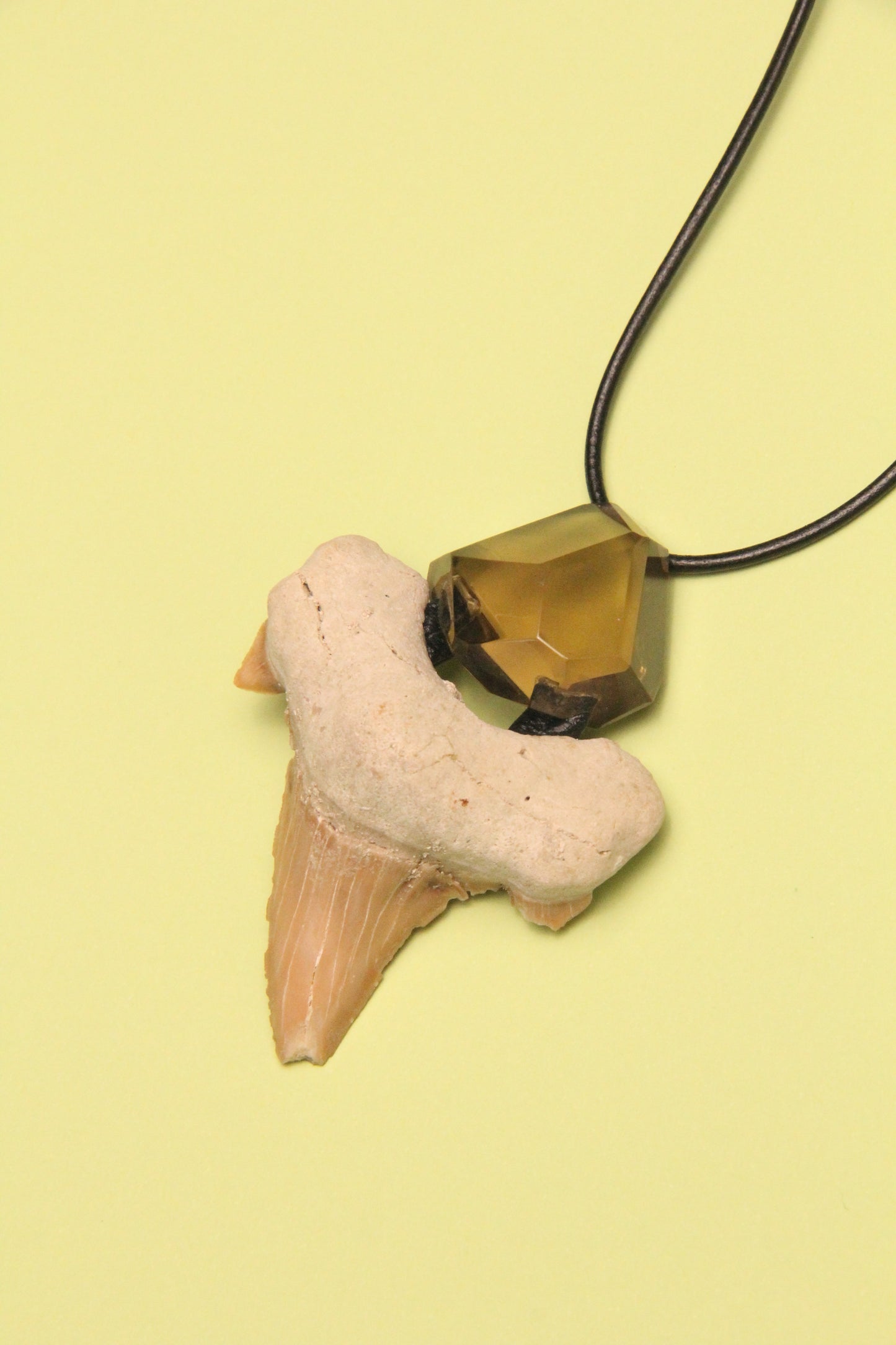 Pendant: shark tooth fossil, citrine, leather