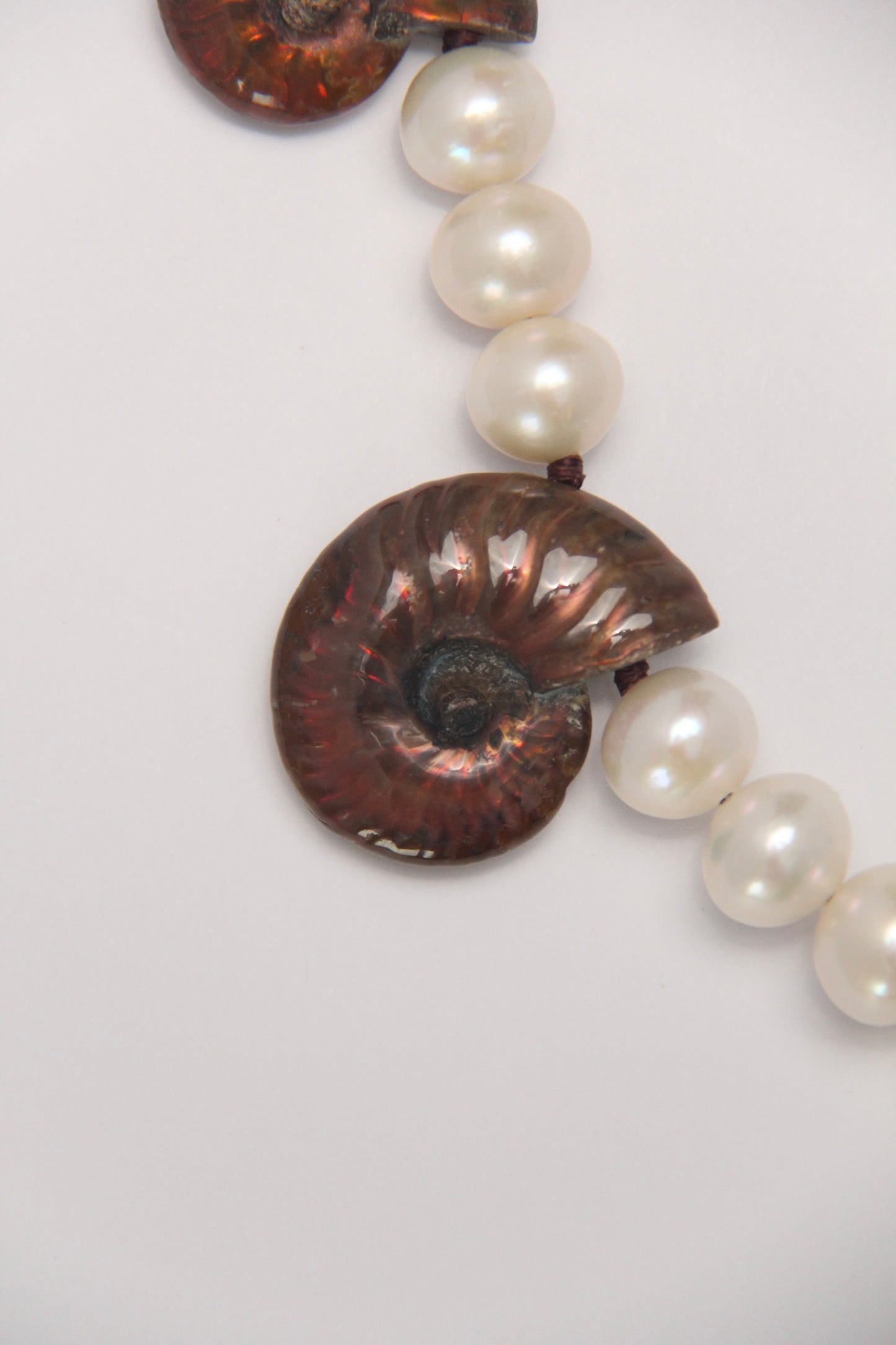 Necklace: Ammonite, pearls