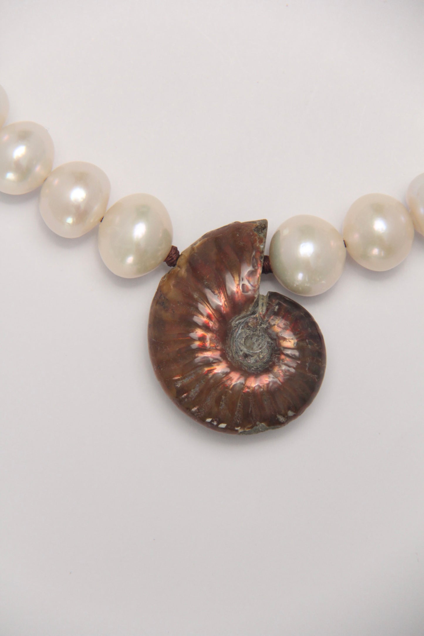 Necklace: Ammonite, pearls