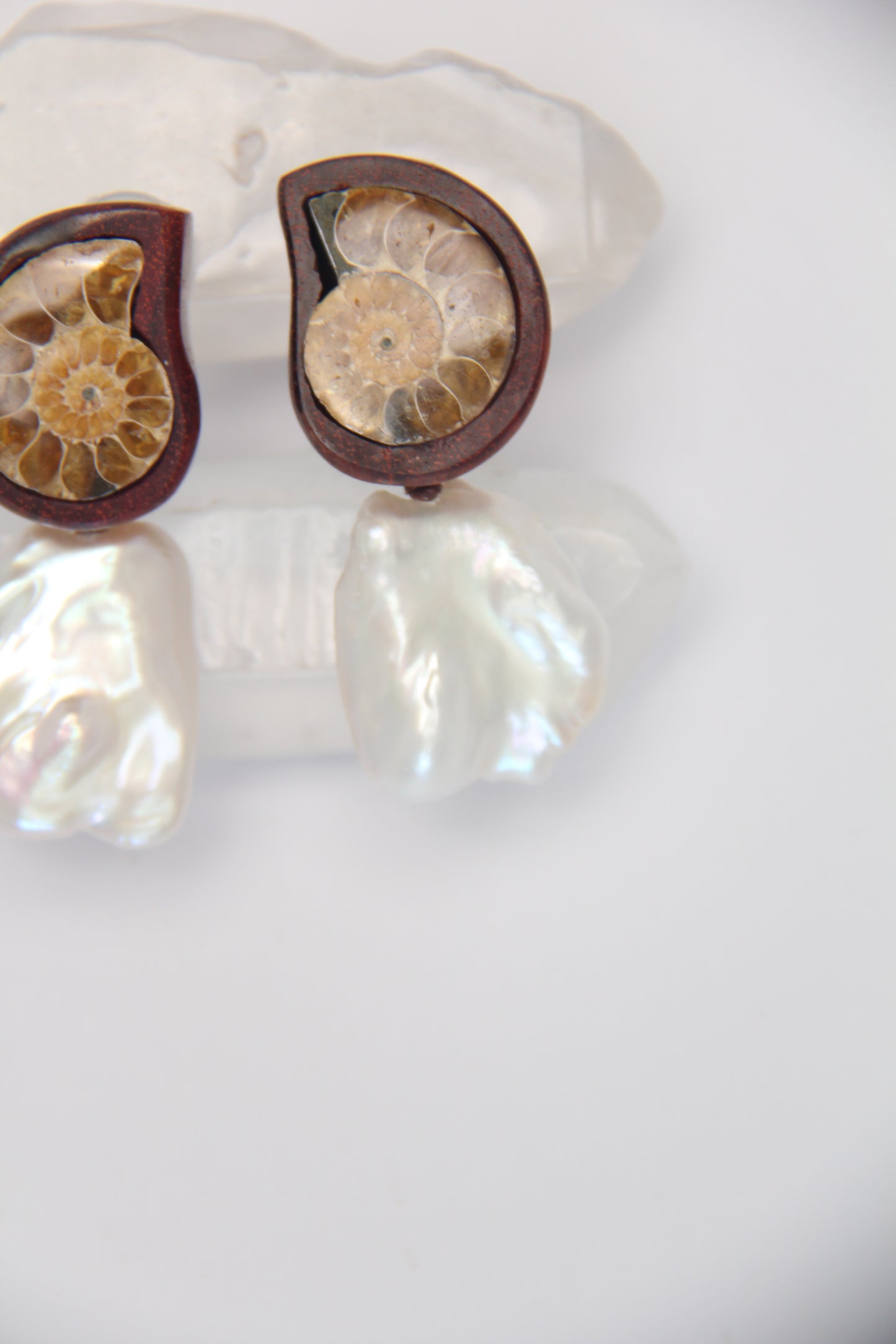 Earrings: ammonite, Zambia blood wood, pearls