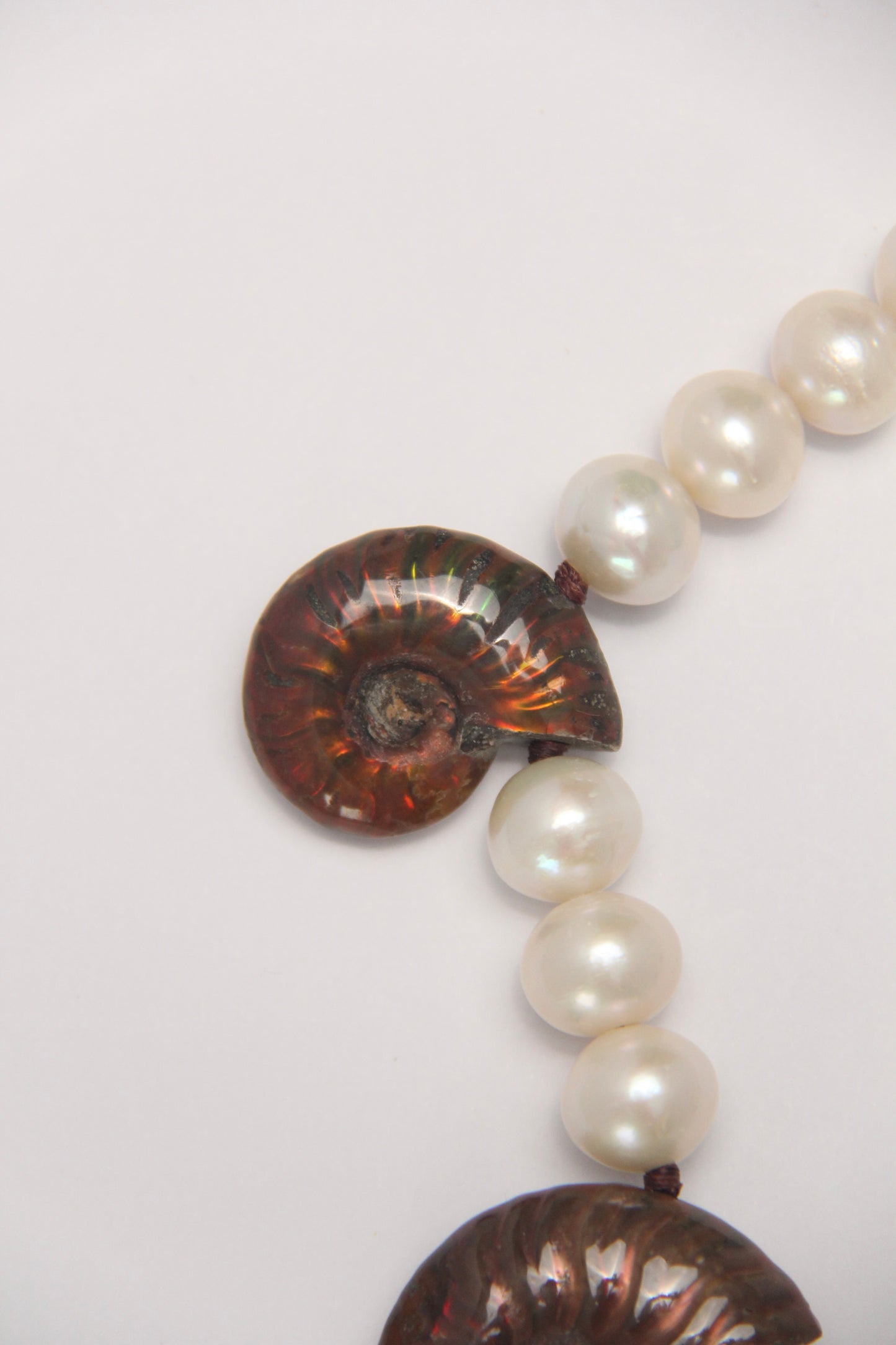 Necklace: Ammonite, pearls