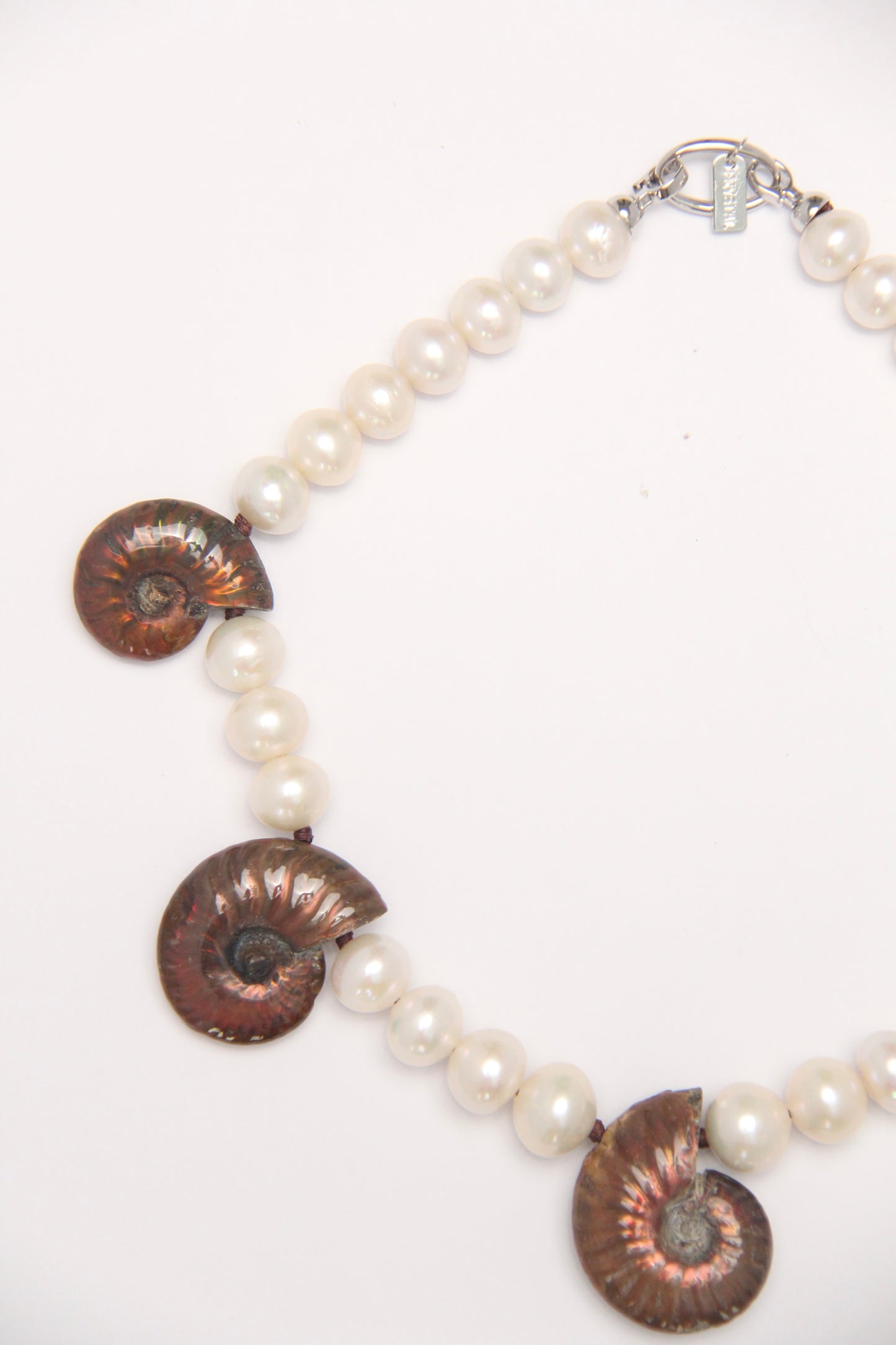 Necklace: Ammonite, pearls