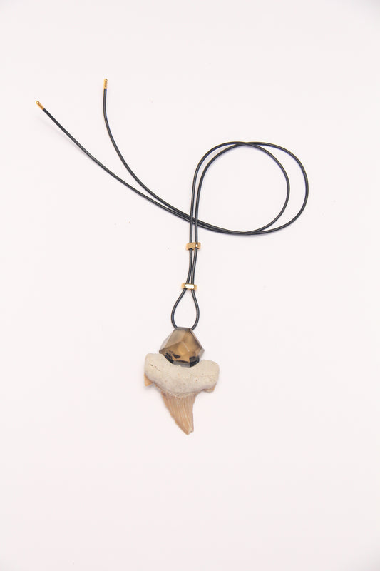 Pendant: shark tooth fossil, citrine, leather