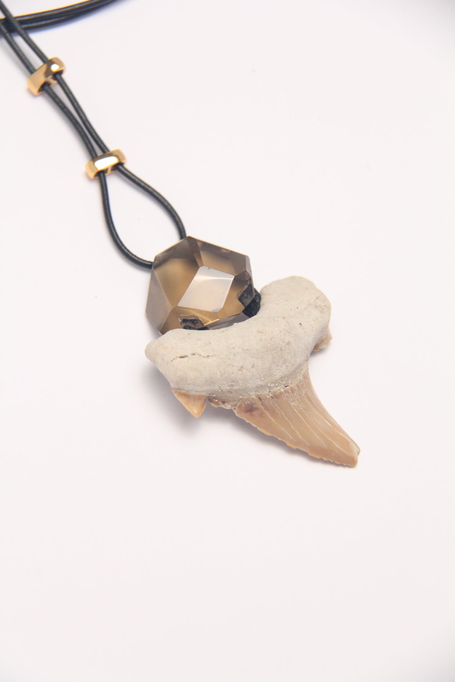 Pendant: shark tooth fossil, citrine, leather