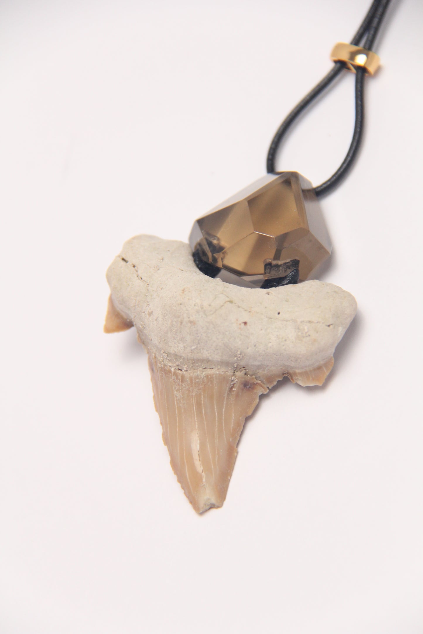 Pendant: shark tooth fossil, citrine, leather