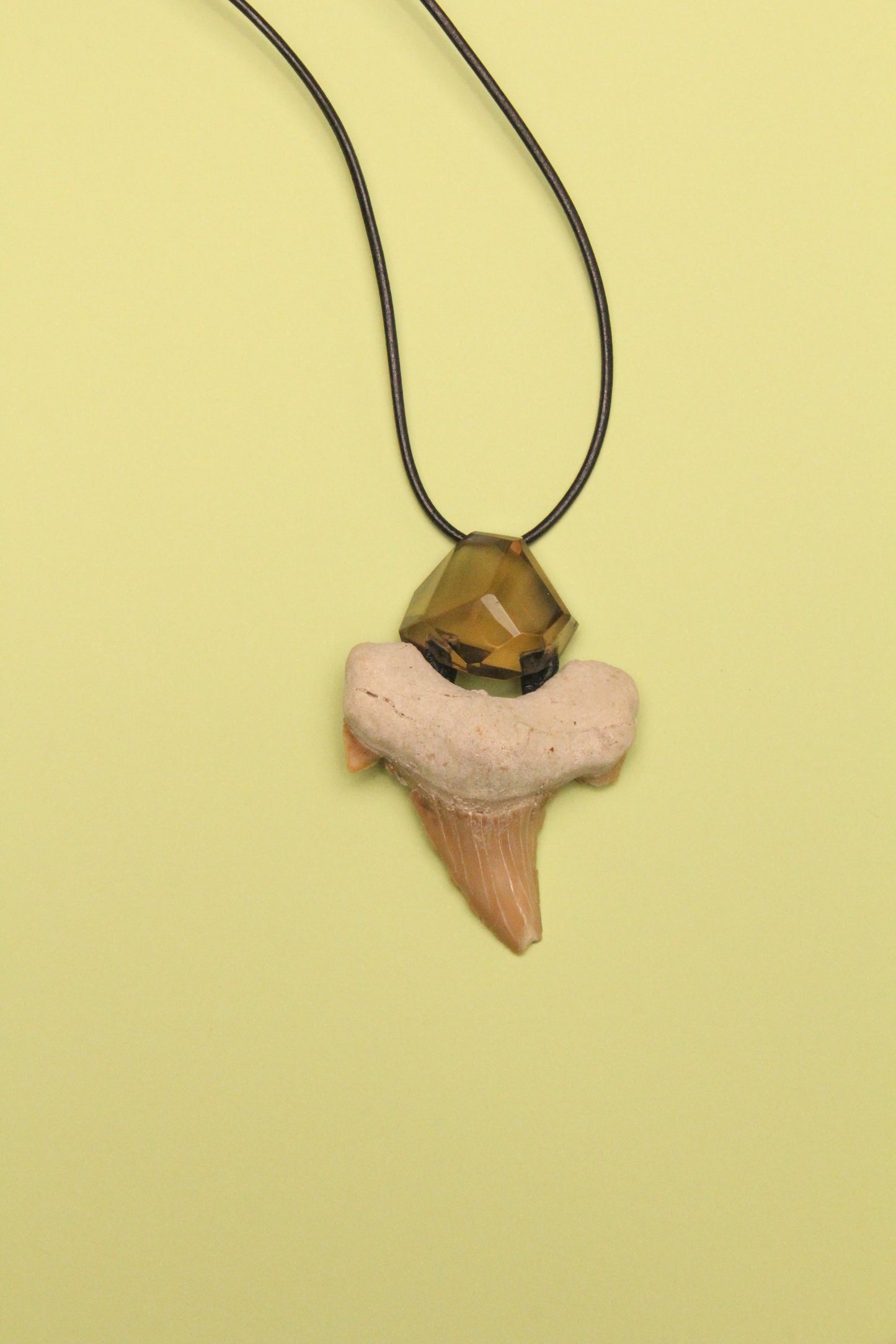 Pendant: shark tooth fossil, citrine, leather